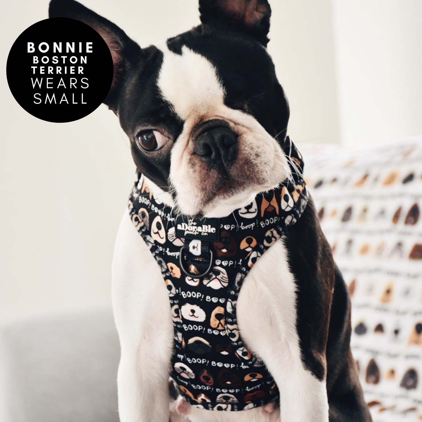 Adjustable Harness - The aDoraBle Pooch Co x Boop My Nose - Boop! - Black