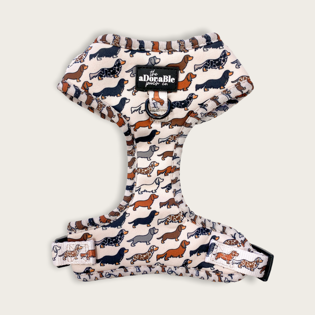 Adjustable Harness Hello Sausage The aDoraBle Pooch Company