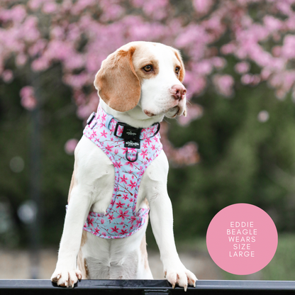 Adjustable Harness - Cherry Blossom