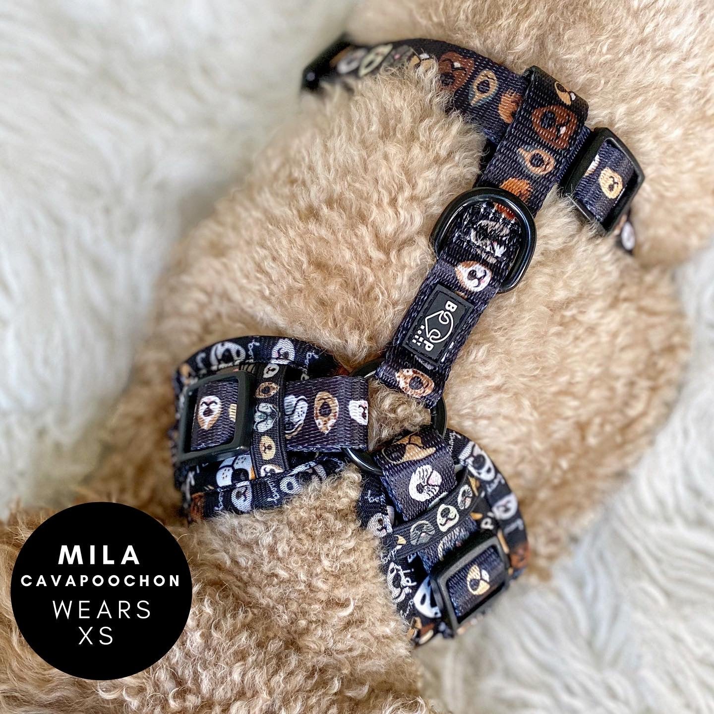 Adjustable Harness - The aDoraBle Pooch Co x Boop My Nose - Boop! - Black