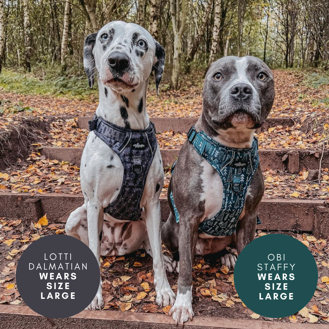 Hike & Go™ Harness - Woodland Walks