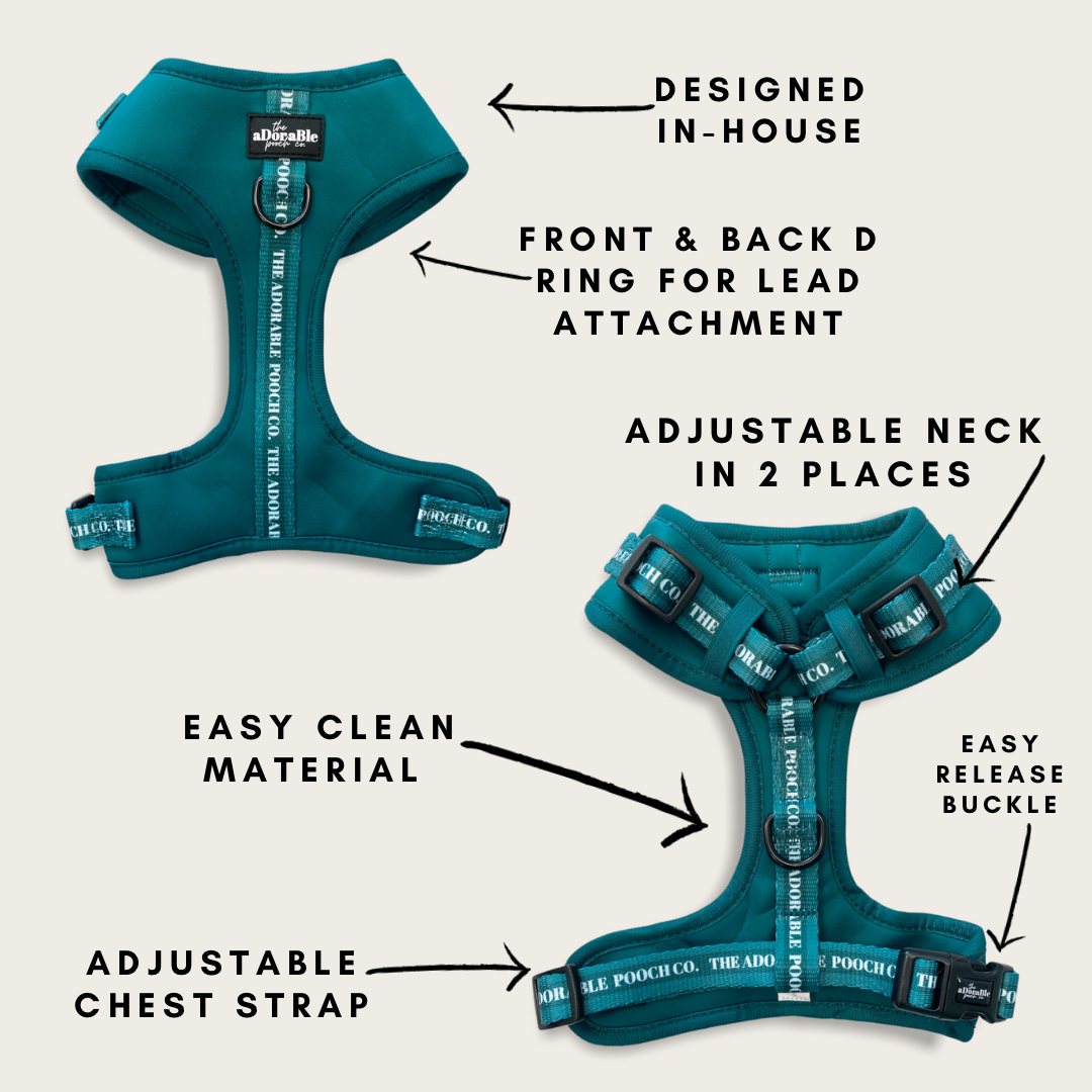 Adjustable Harness - Classic Collection - Deep Teal