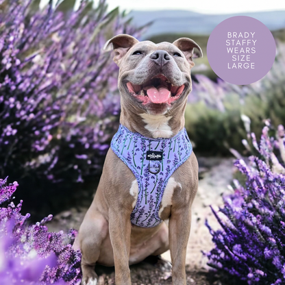 Adjustable Harness - Lavender Haze