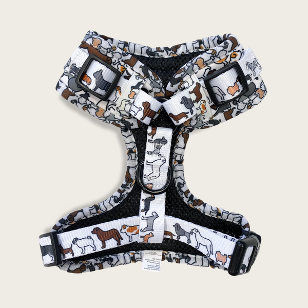 Adjustable Harness - Pups + Pooches