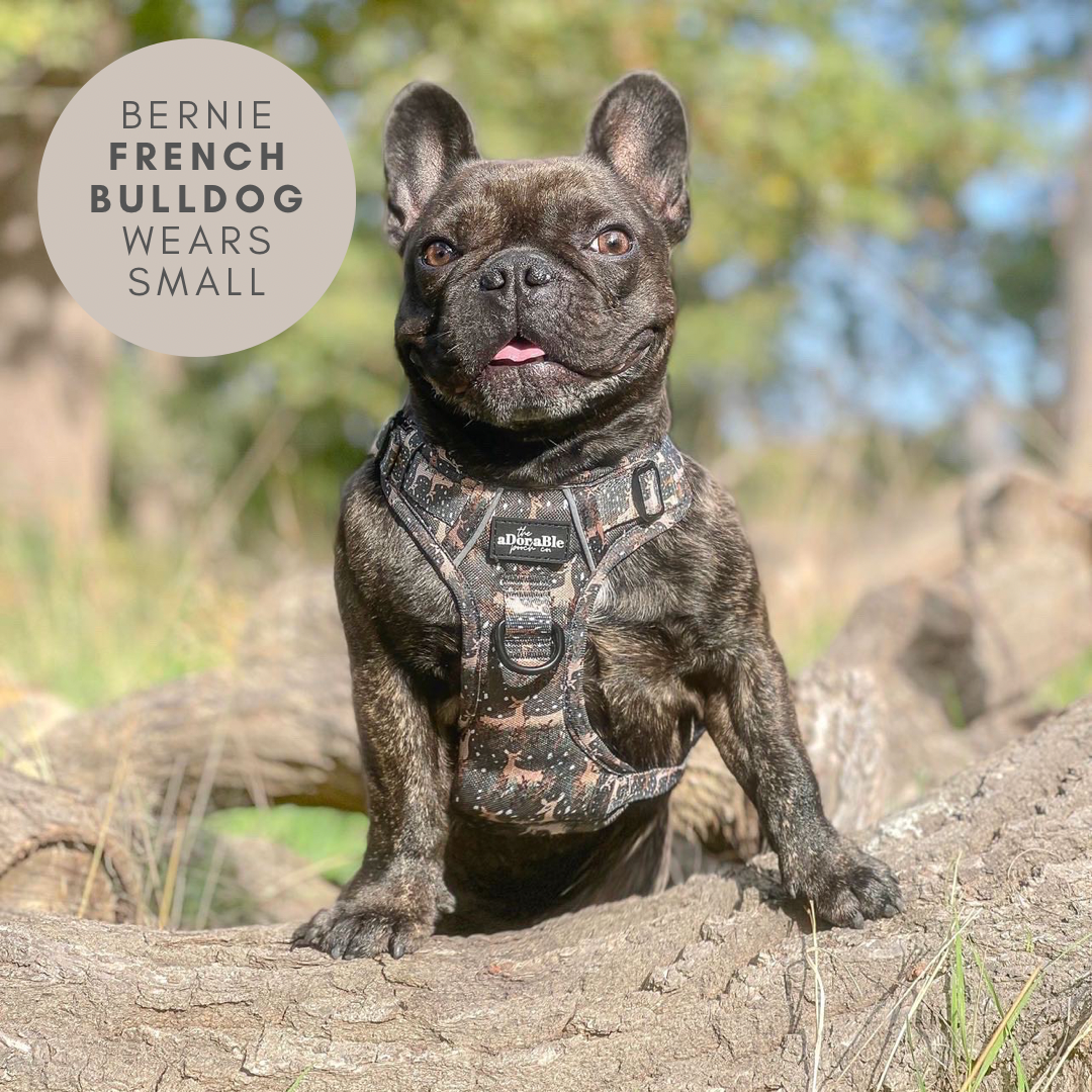 Hike & Go™ Harness - Nature Trails