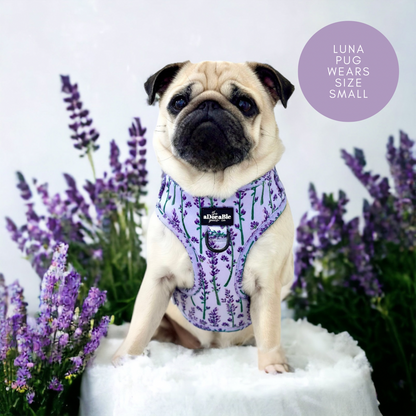 Adjustable Harness - Lavender Haze