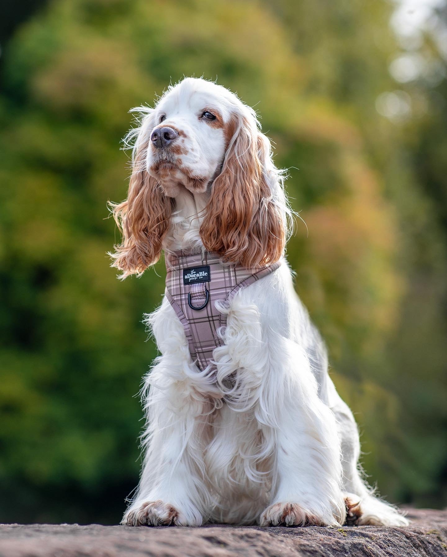 Adjustable Harness - LUXE Mocha Plaid