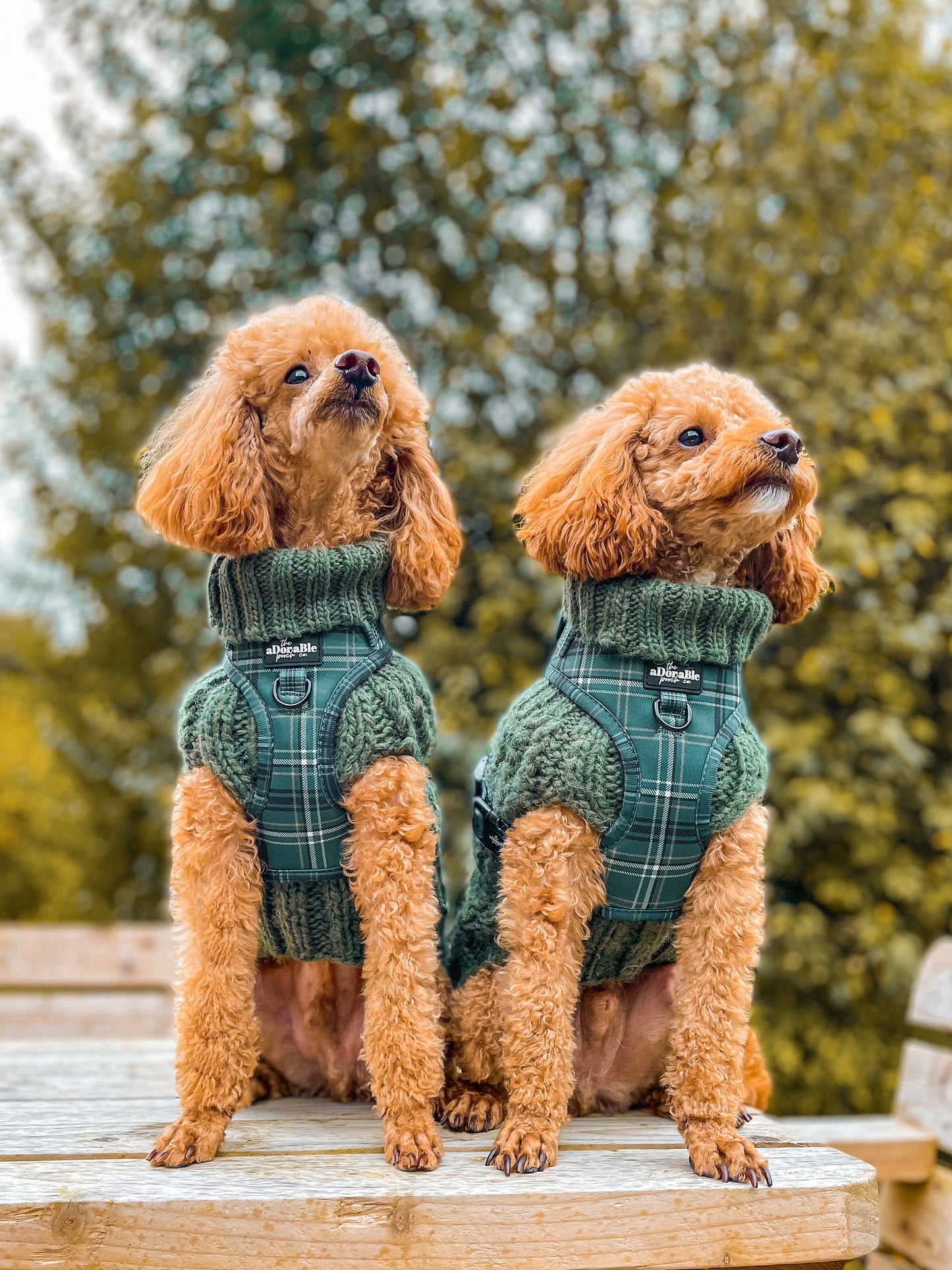 Adjustable Harness - LUXE Hunter Green Plaid