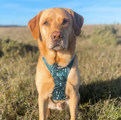 Hike & Go™ Harness - Woodland Walks