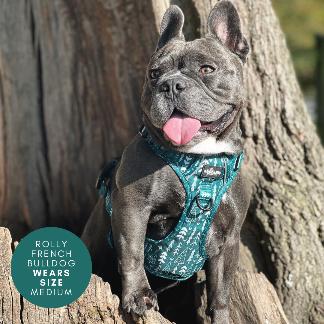 Hike & Go™ Harness - Woodland Walks