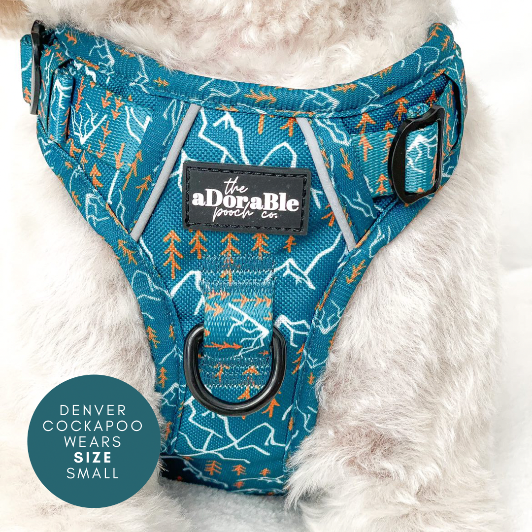 Hike & Go™ Harness - Alpine Adventure