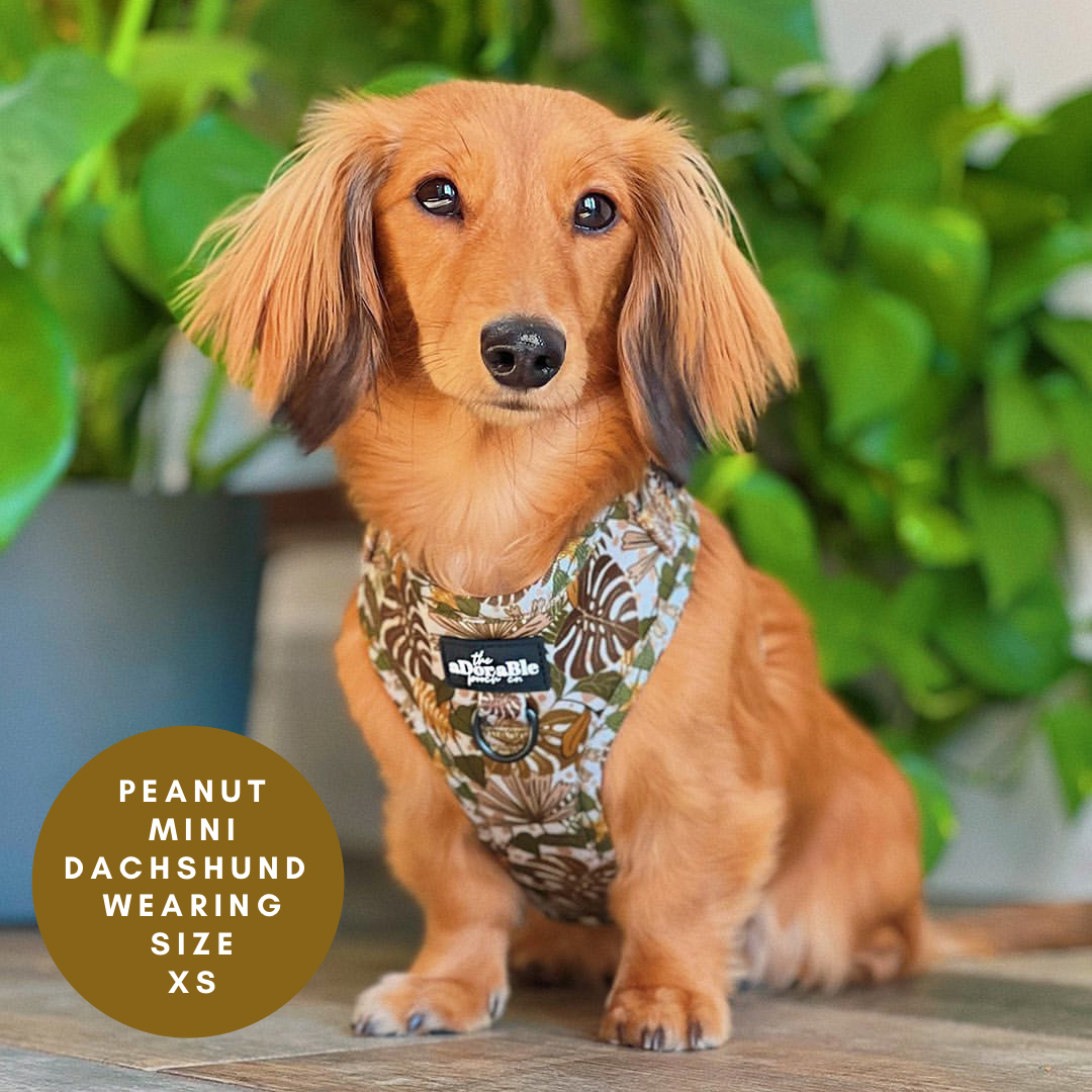Adjustable Harness - In The Jungle - XS