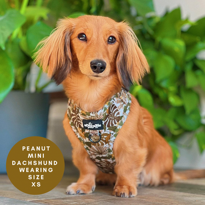Adjustable Harness - In The Jungle - XS