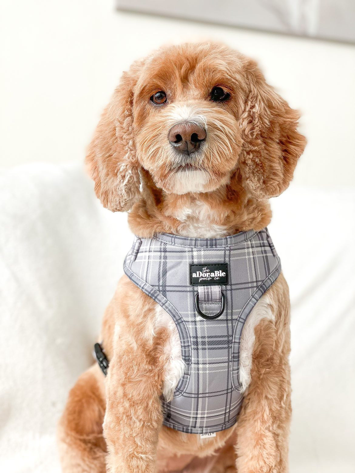 Adjustable Harness - LUXE Dove Grey Plaid