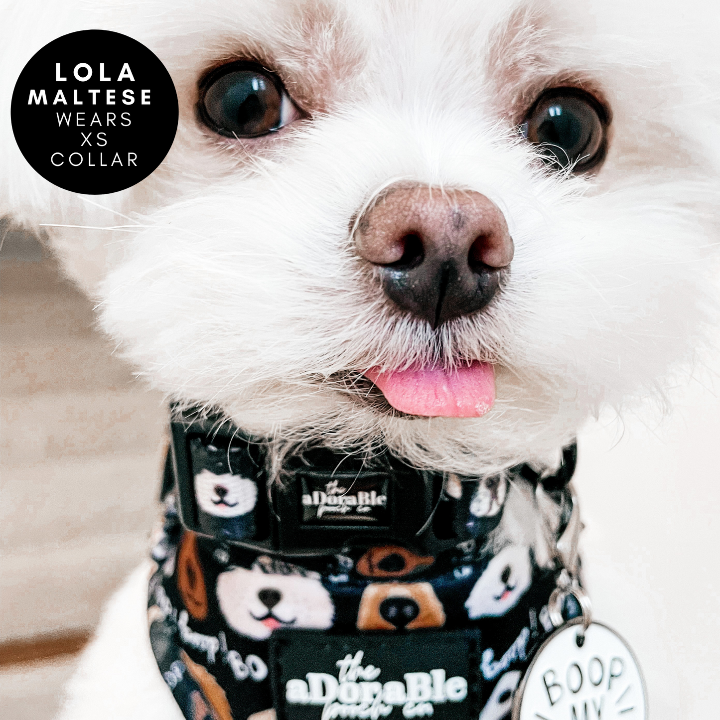 Adjustable Harness - The aDoraBle Pooch Co x Boop My Nose - Boop! - Black