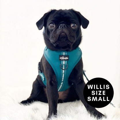 Adjustable Harness - Classic Collection - Deep Teal