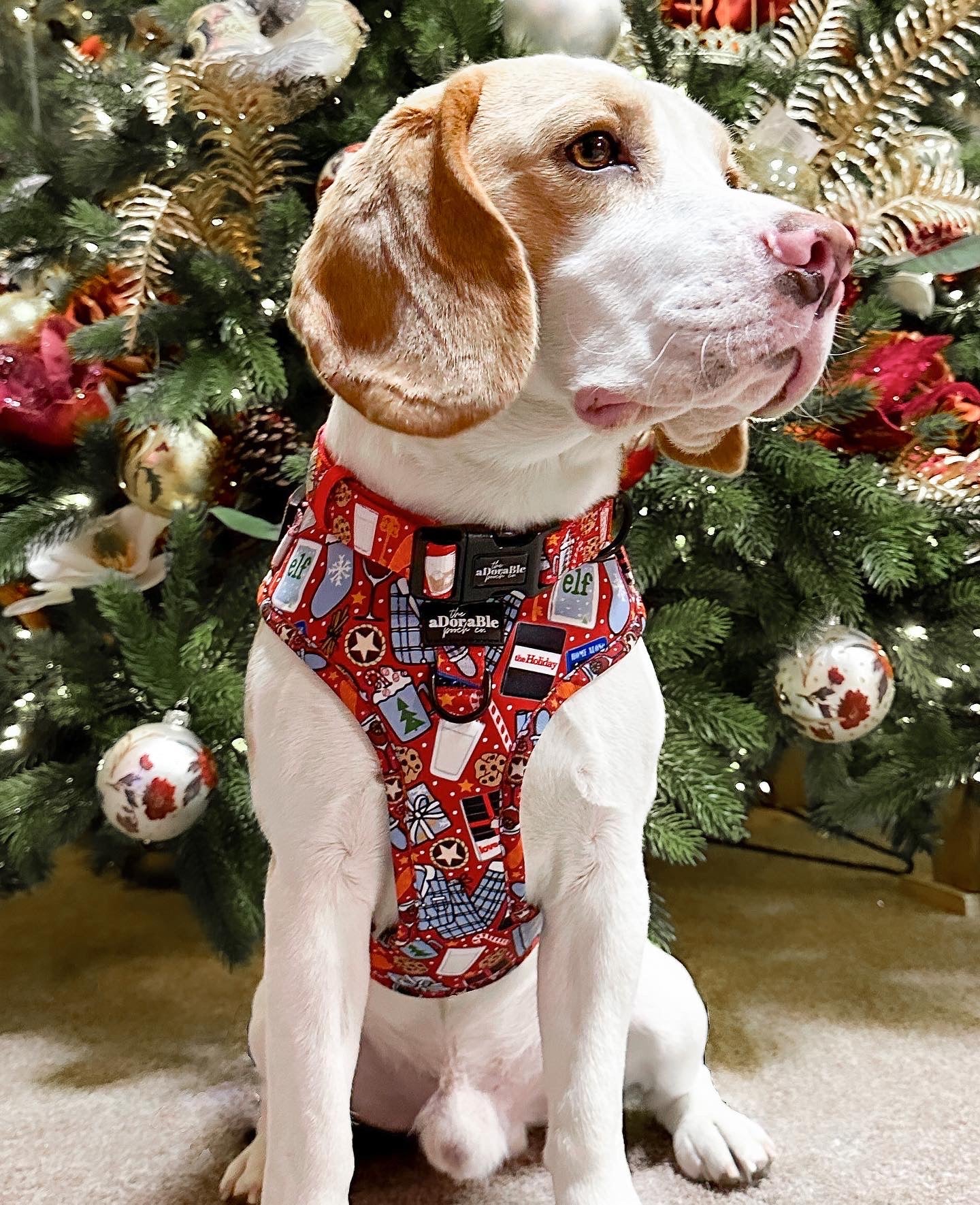 Adjustable Harness - Christmas Eve