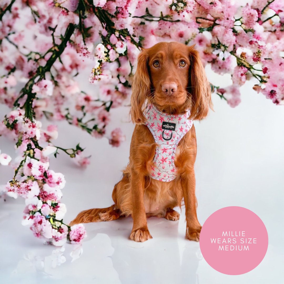 Adjustable Harness - Cherry Blossom