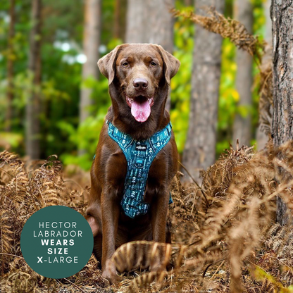 Hike & Go™ Harness - Woodland Walks