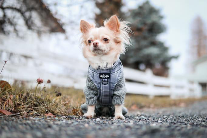 Adjustable Harness - LUXE Dove Grey Plaid