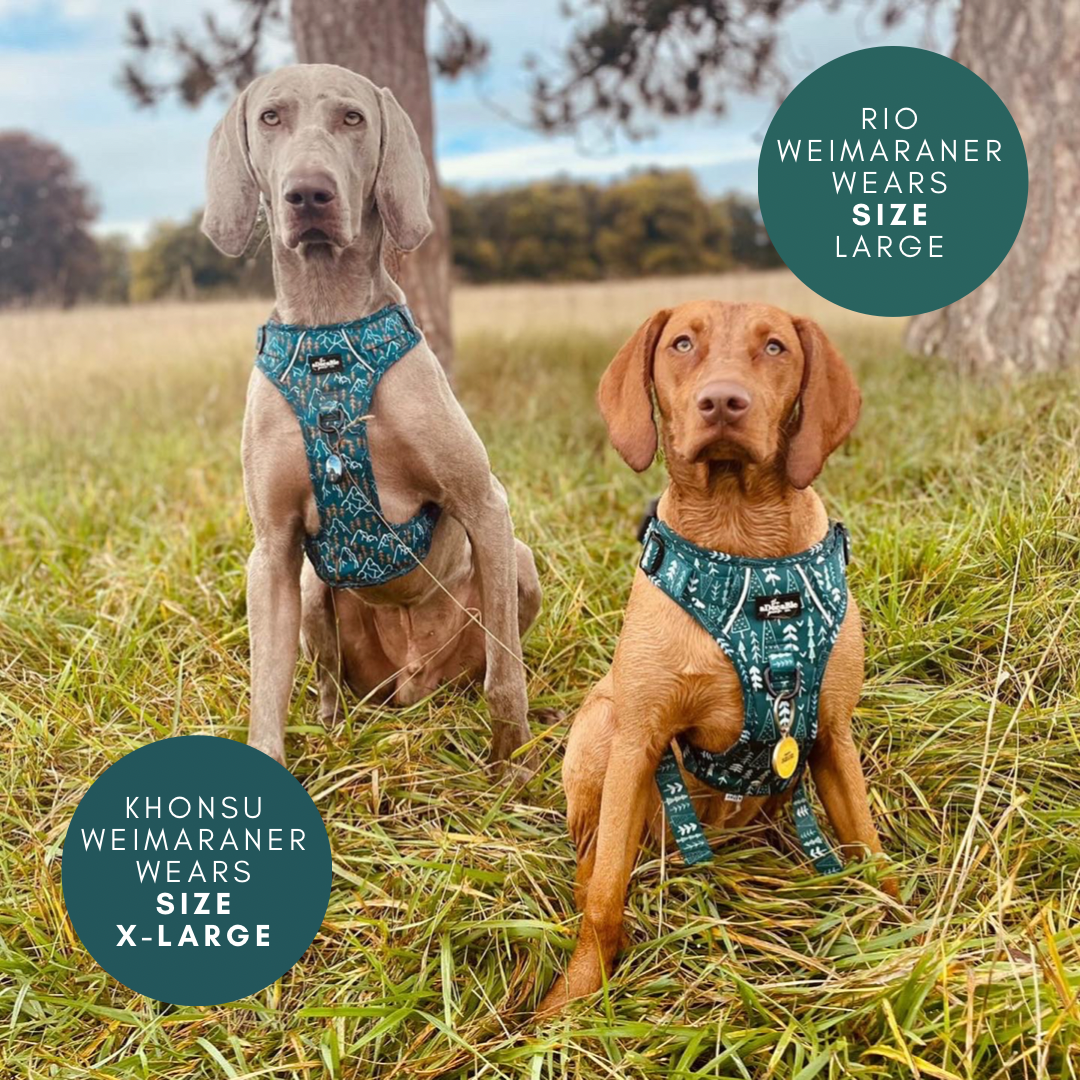 Hike & Go™ Harness - Woodland Walks