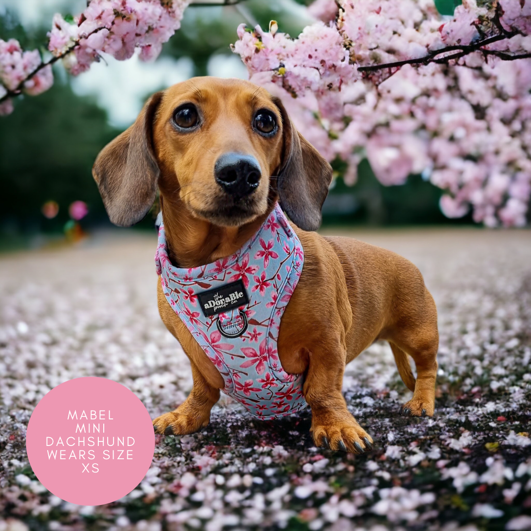 Adjustable Harness - Cherry Blossom