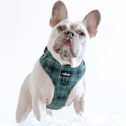 Adjustable Harness - LUXE Hunter Green Plaid