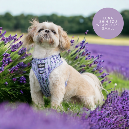 Adjustable Harness - Lavender Haze