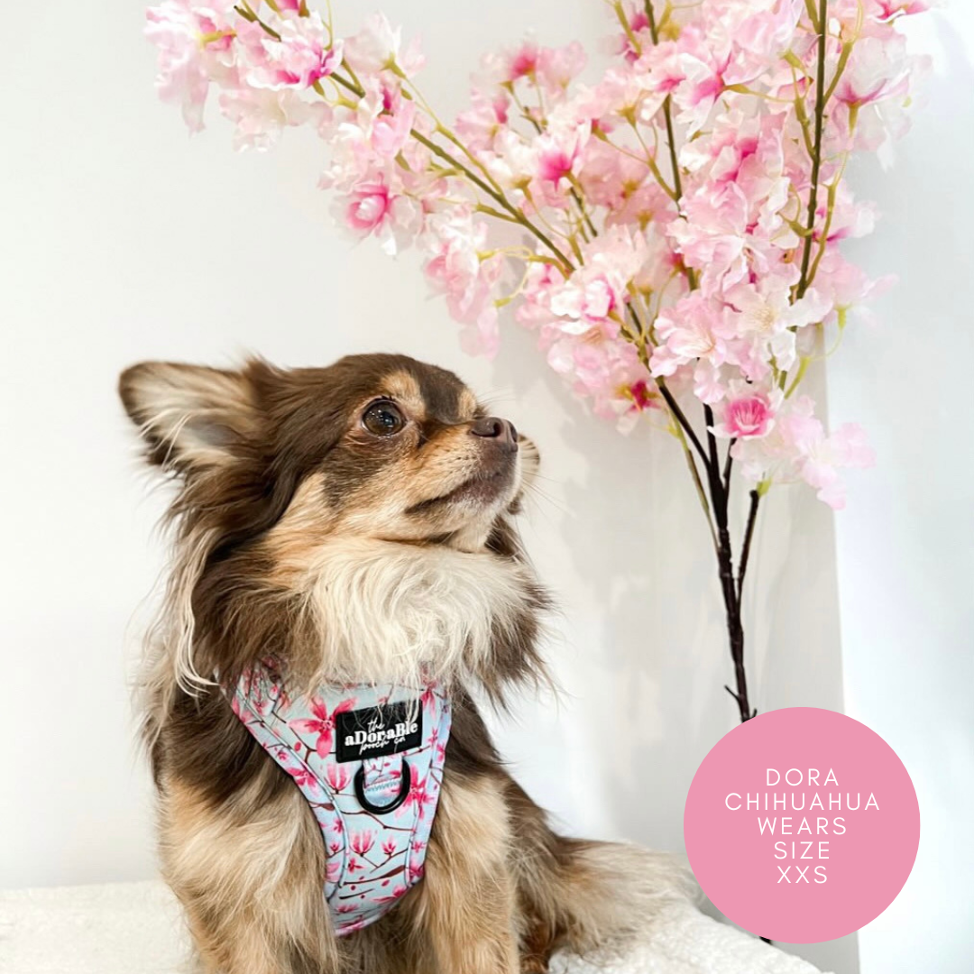 Adjustable Harness - Cherry Blossom