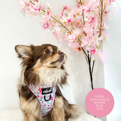 Adjustable Harness - Cherry Blossom