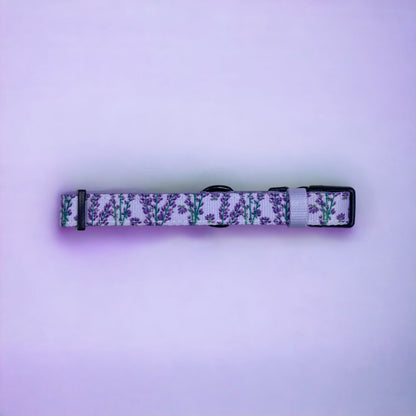 Collar - Lavender Haze