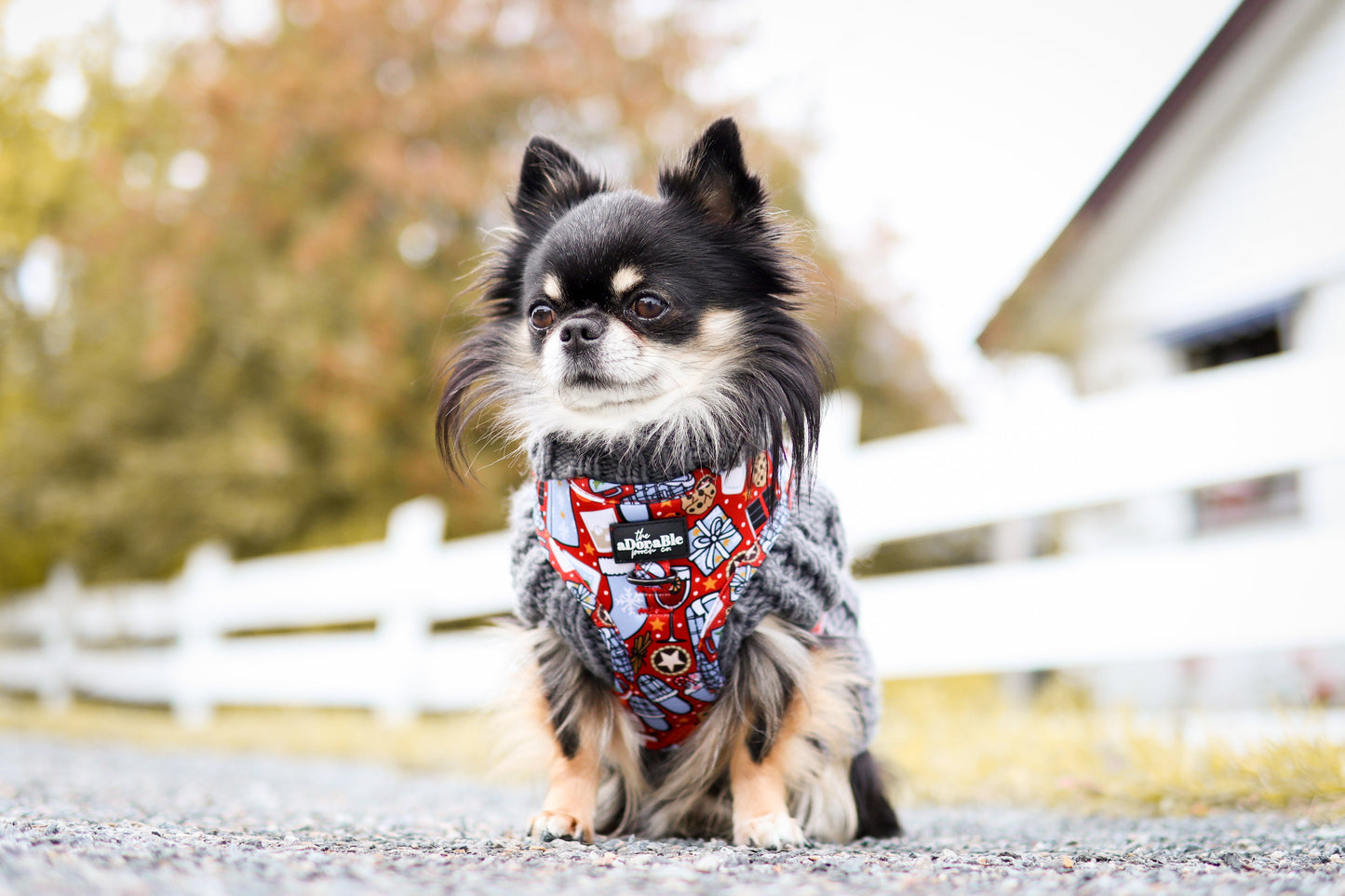 Adjustable Harness - Christmas Eve - SECONDS