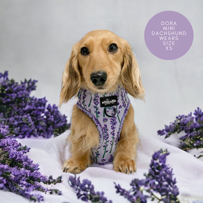 Adjustable Harness - Lavender Haze