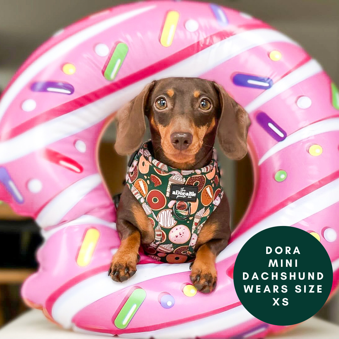 Adjustable Harness - Pups & Doughnuts