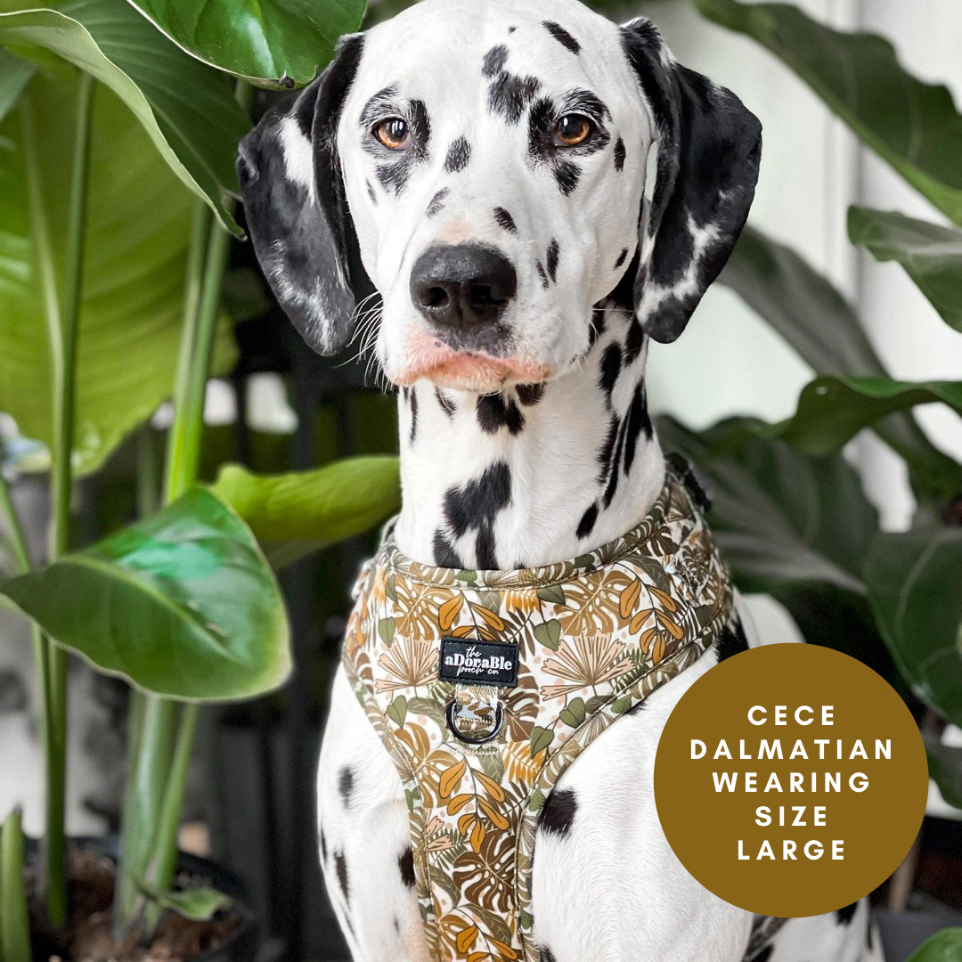 Adjustable Harness - In The Jungle - XS