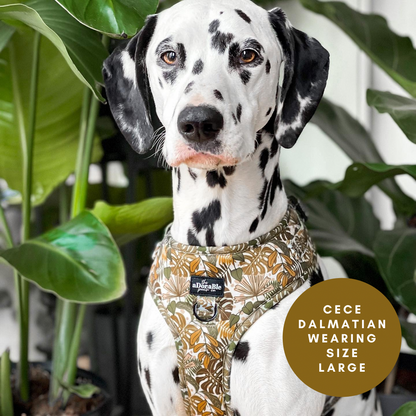 Adjustable Harness - In The Jungle - XS