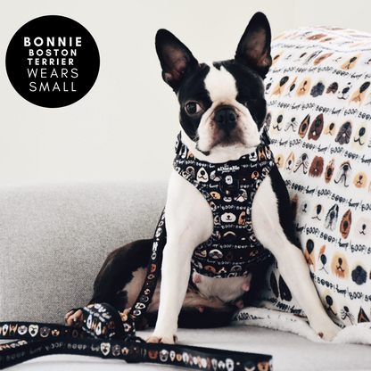 Adjustable Harness - The aDoraBle Pooch Co x Boop My Nose - Boop! - Black