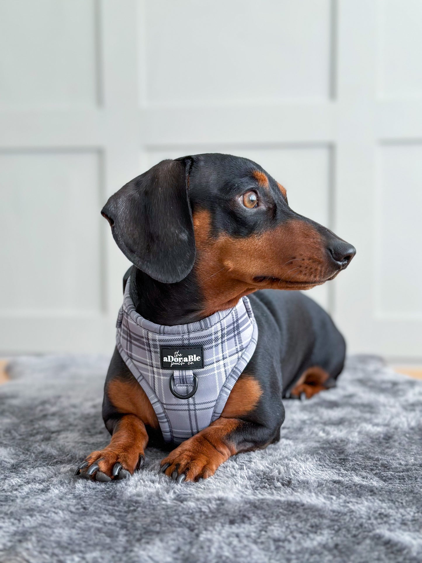 Adjustable Harness - LUXE Dove Grey Plaid