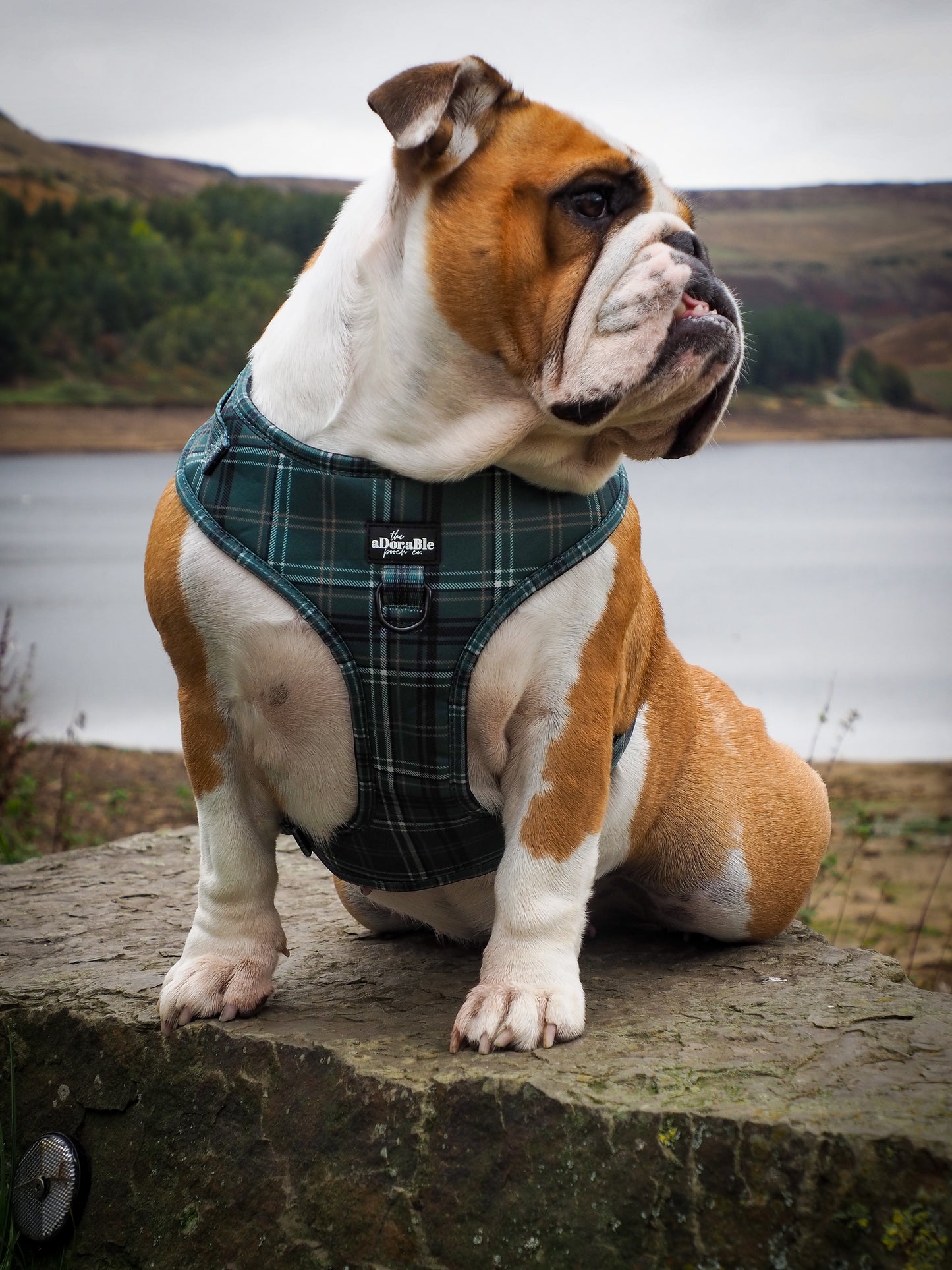 Adjustable Harness - LUXE Hunter Green Plaid