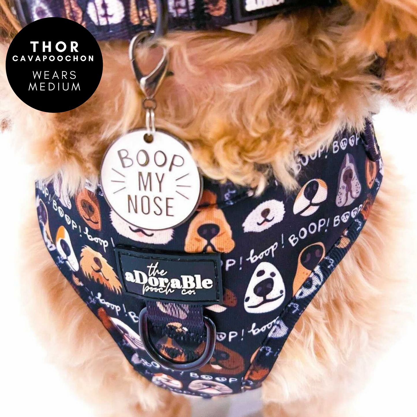 Adjustable Harness - The aDoraBle Pooch Co x Boop My Nose - Boop! - Black