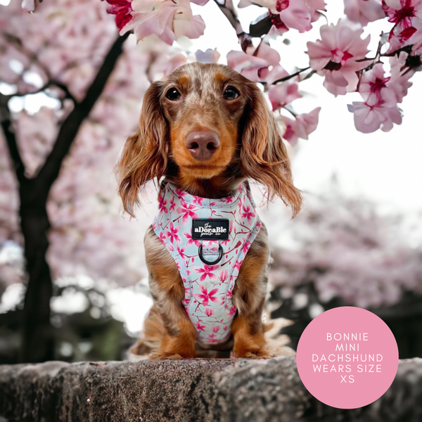 Adjustable Harness - Cherry Blossom