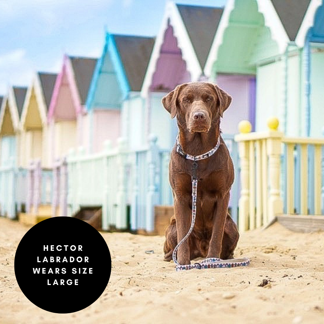 Collar - British Beach Huts