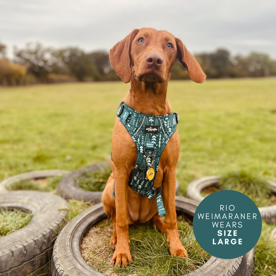 Hike & Go™ Harness - Woodland Walks