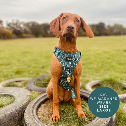 Hike & Go™ Harness - Woodland Walks