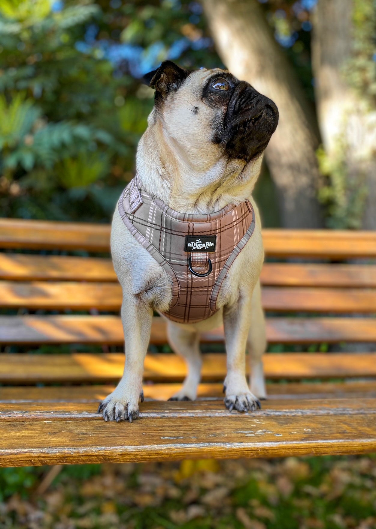 Adjustable Harness - LUXE Mocha Plaid