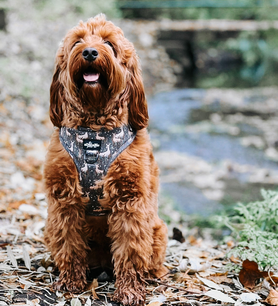 Adjustable Harness - Nature Trails