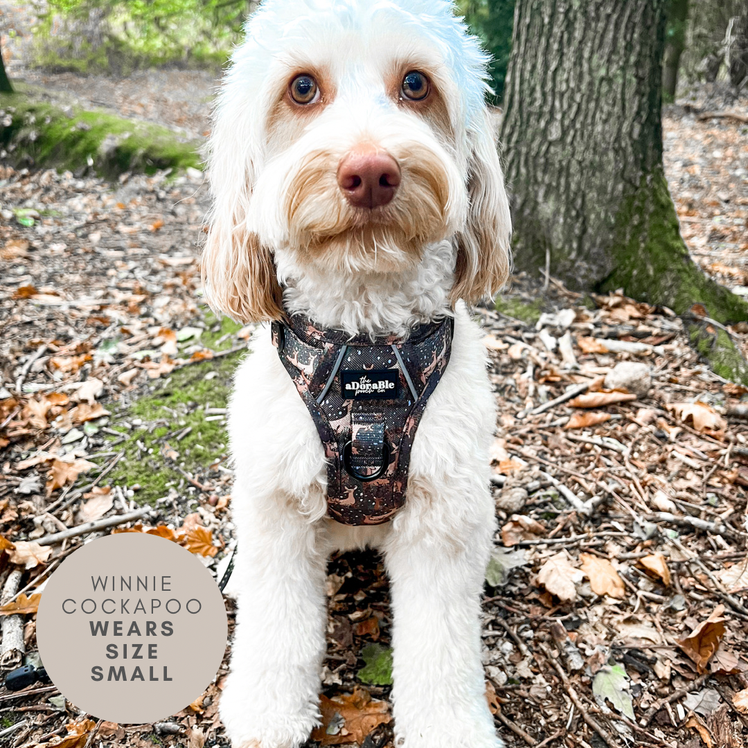 Hike & Go™ Harness - Nature Trails