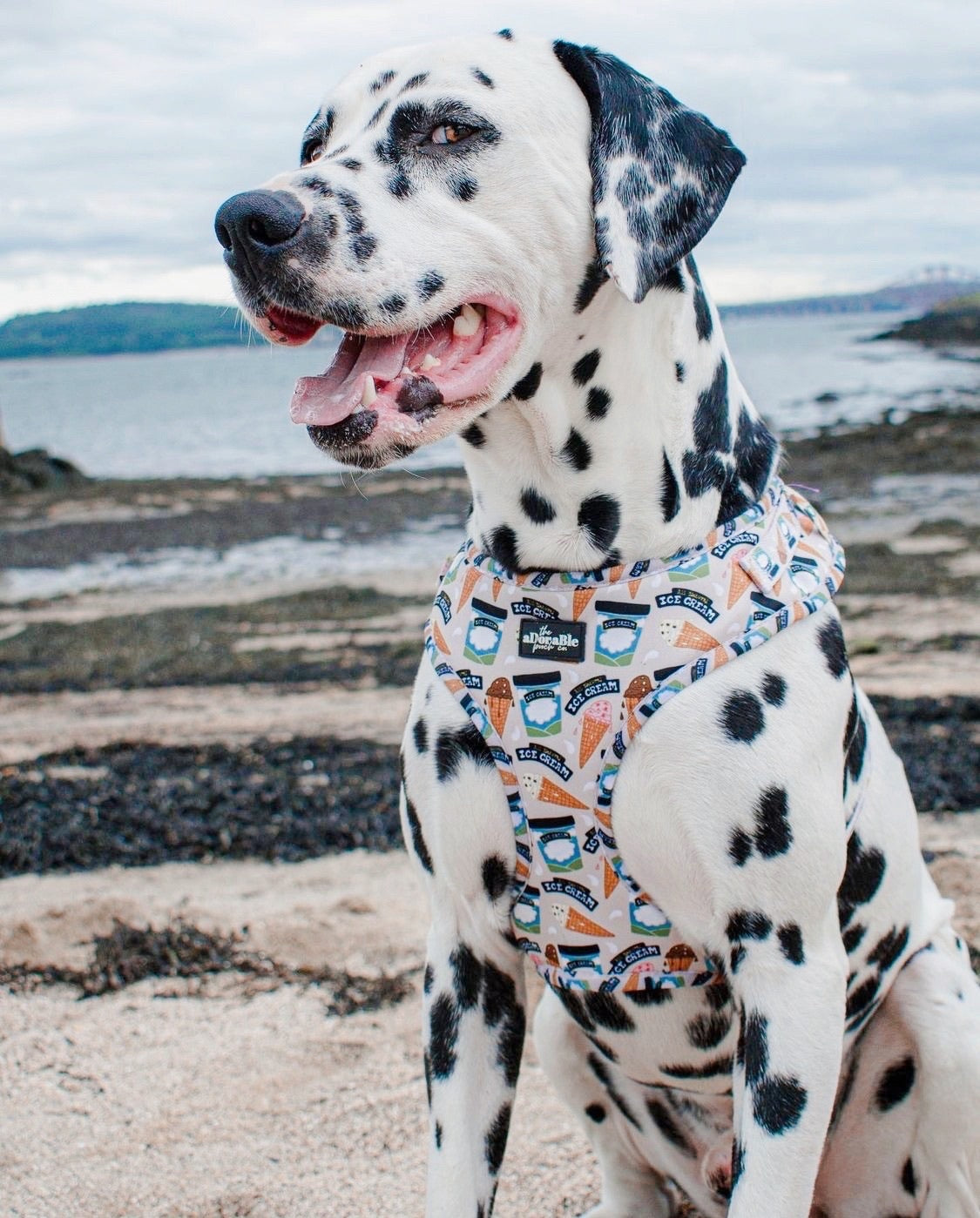 Adjustable Harness - Scoop Dog