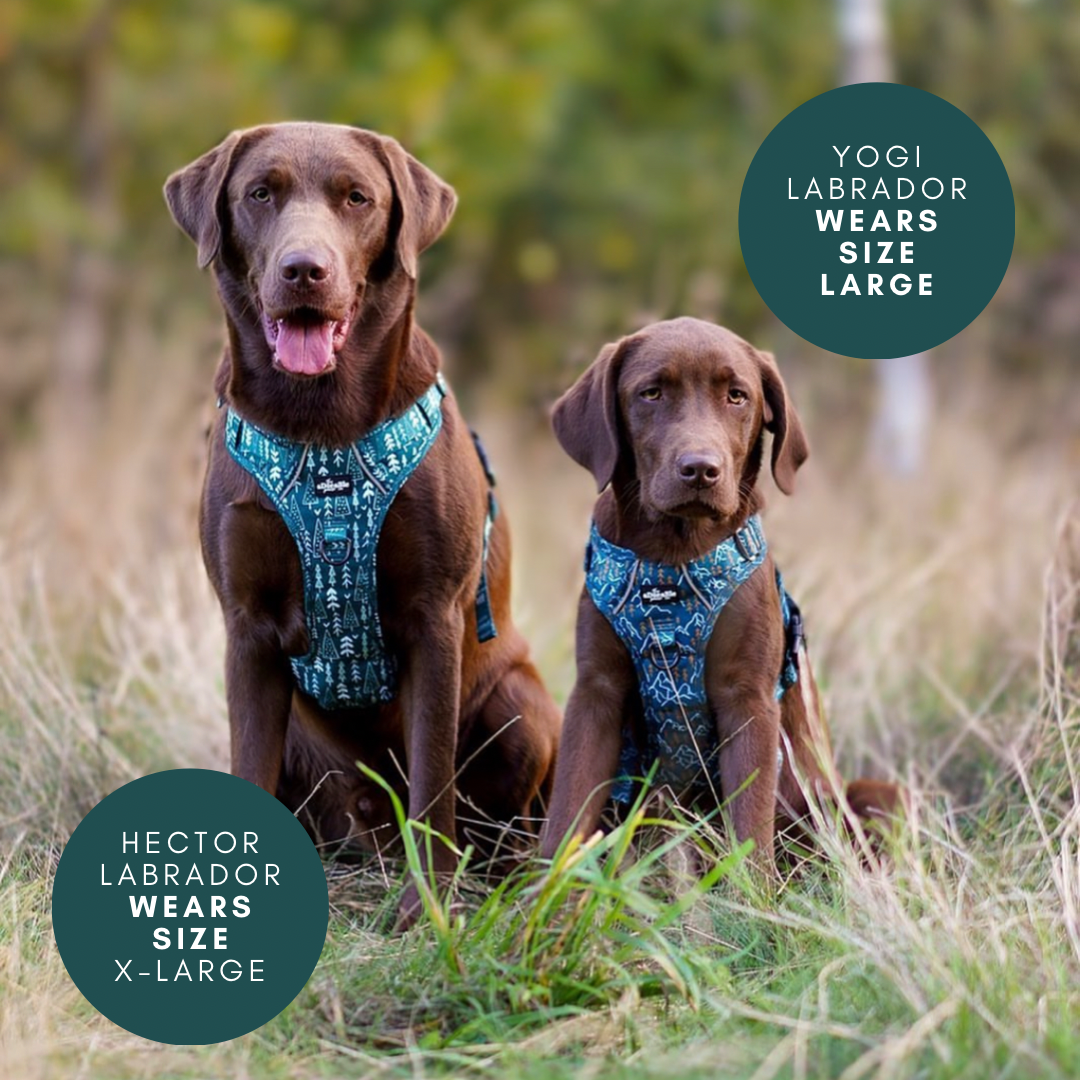 Hike & Go™ Harness - Woodland Walks