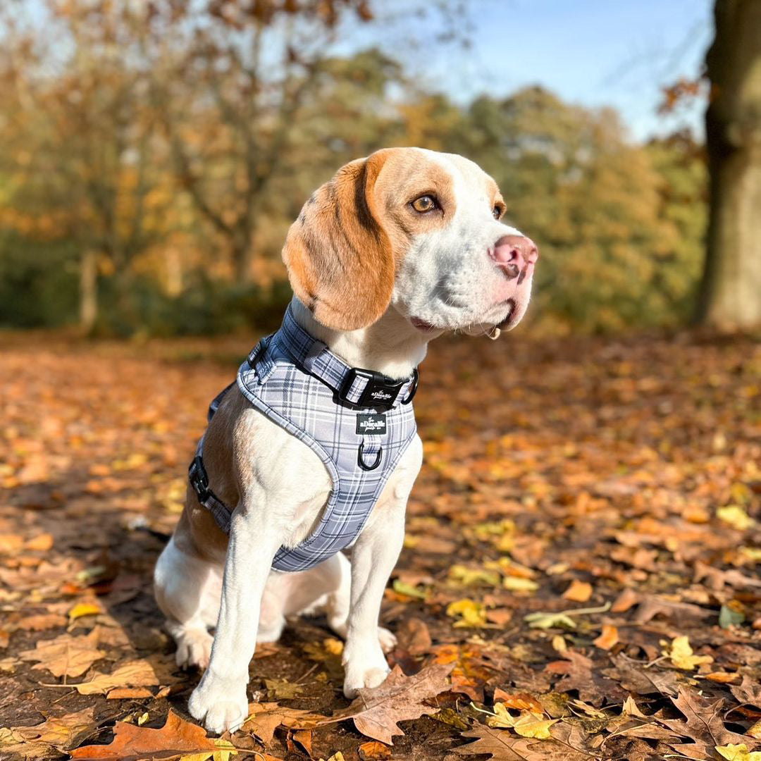 Adjustable Harness - LUXE Dove Grey Plaid